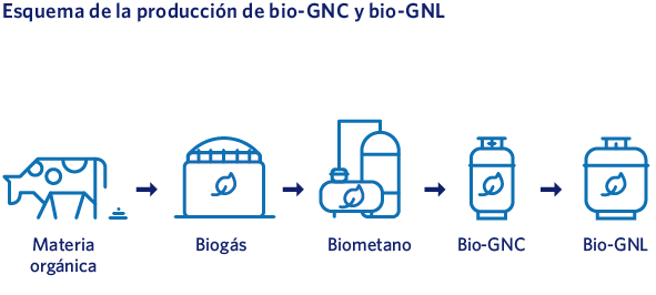 Esquema de la producción de bio-GNC y bio-GNL